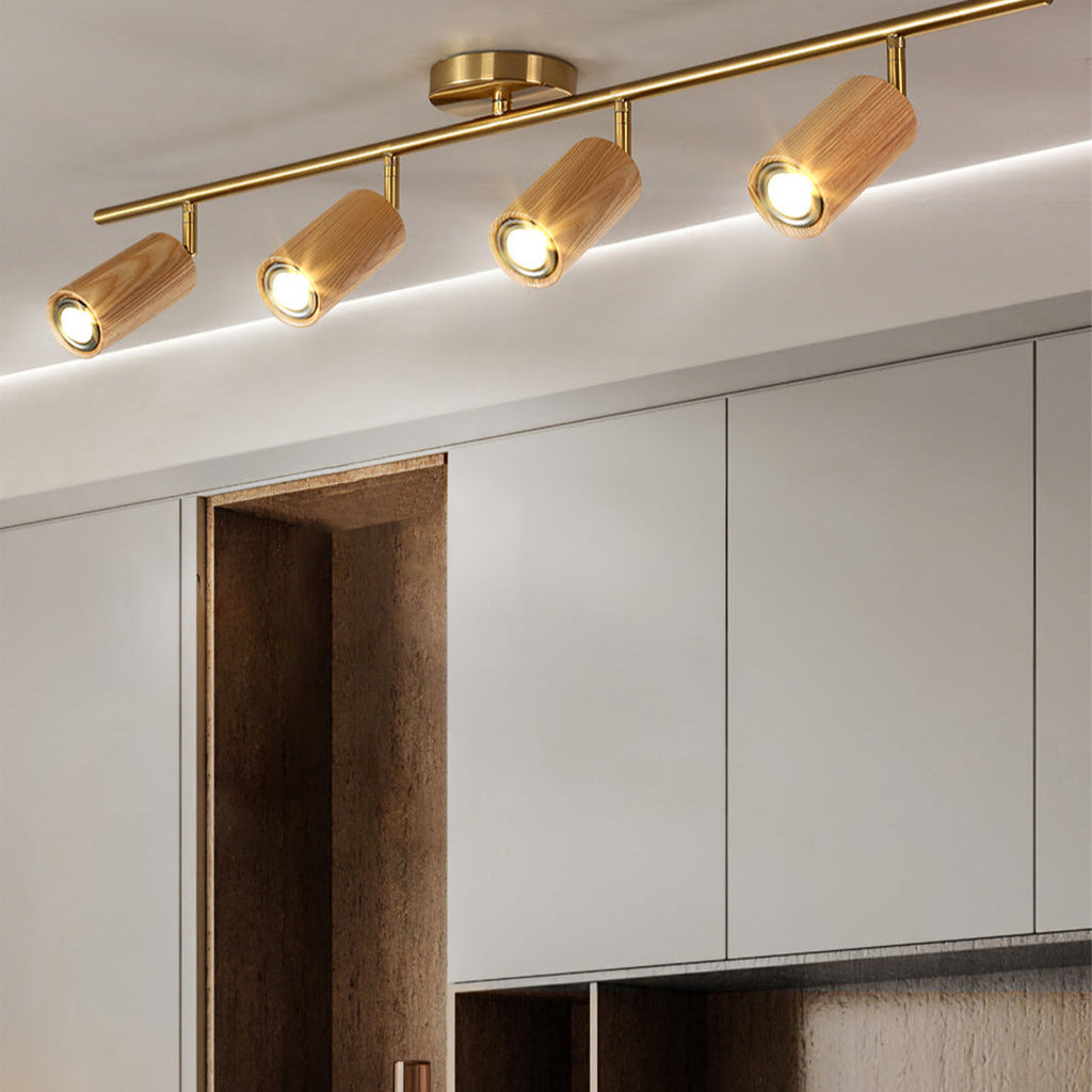 Arthur Ceiling Light Spotlight | ventumra