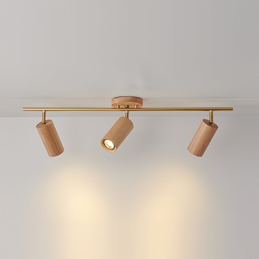 Arthur Ceiling Light Spotlight | ventumra