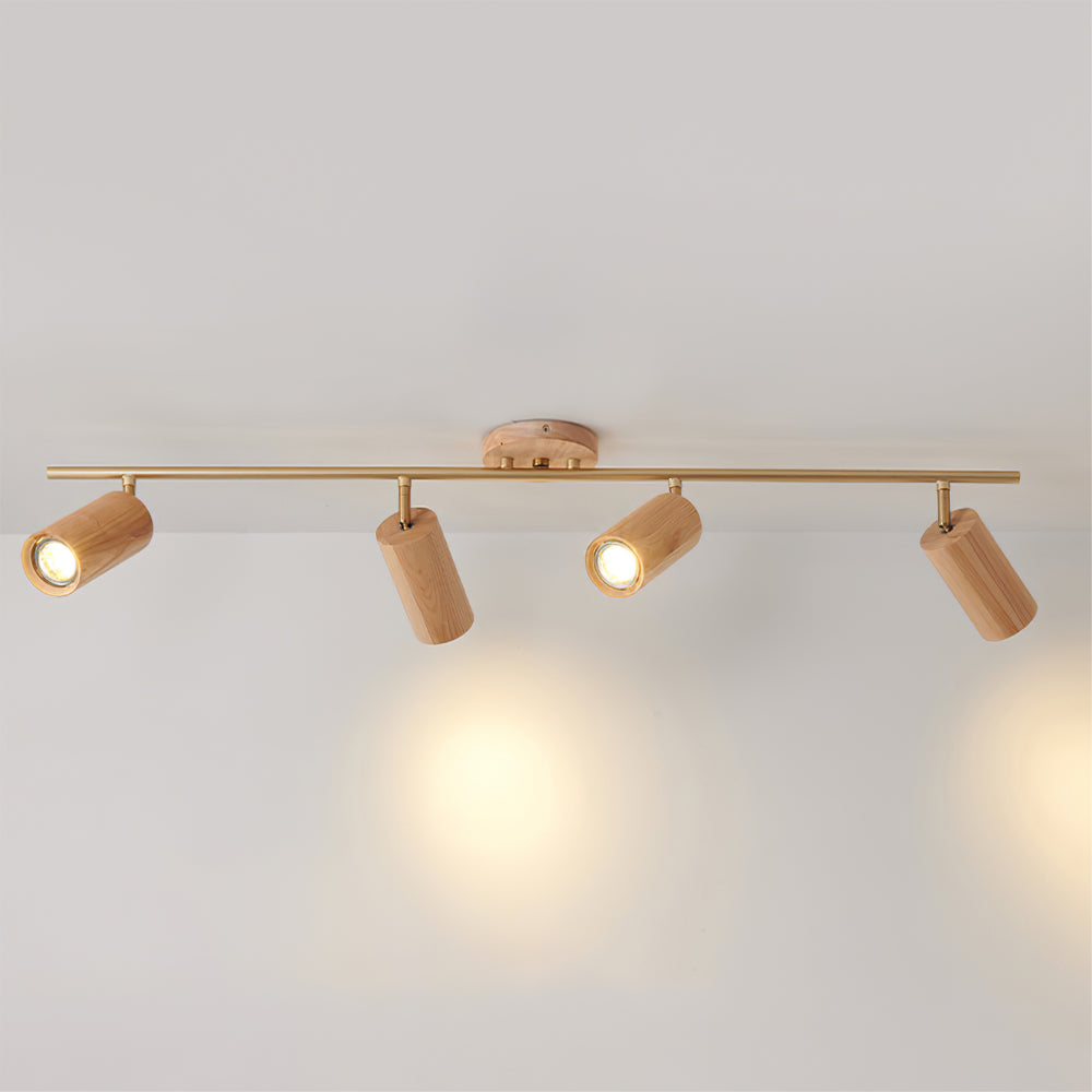 Arthur Ceiling Light Spotlight | ventumra