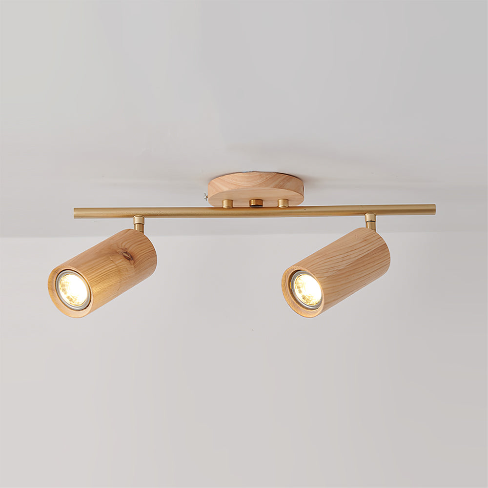 Arthur Ceiling Light Spotlight | ventumra
