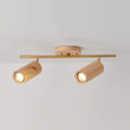 Arthur Ceiling Light Spotlight | ventumra