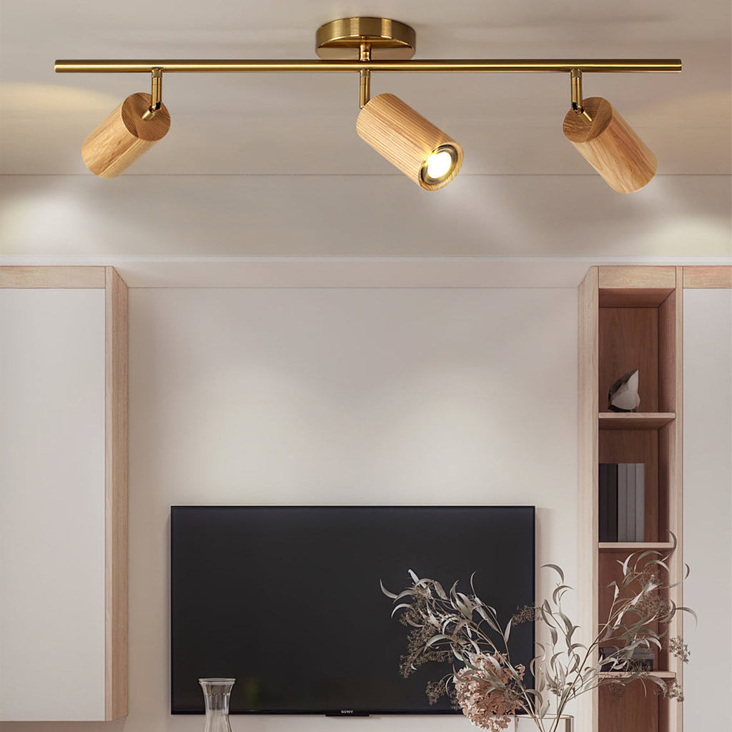 Arthur Ceiling Light Spotlight | ventumra