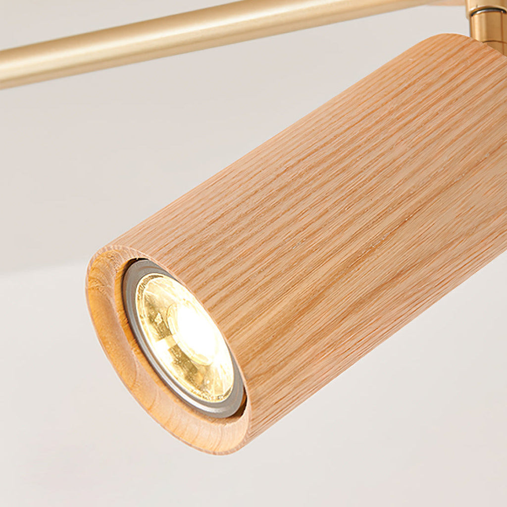 Arthur Ceiling Light Spotlight | ventumra