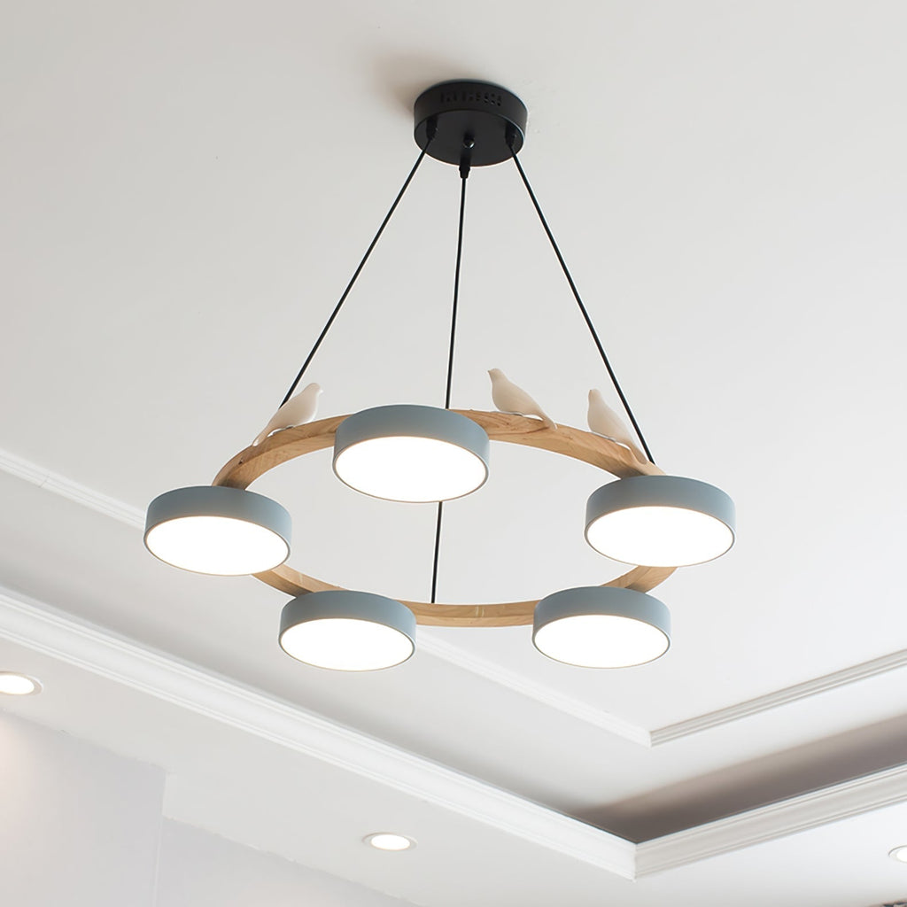 Cliff Chandelier Bird Round | ventumra