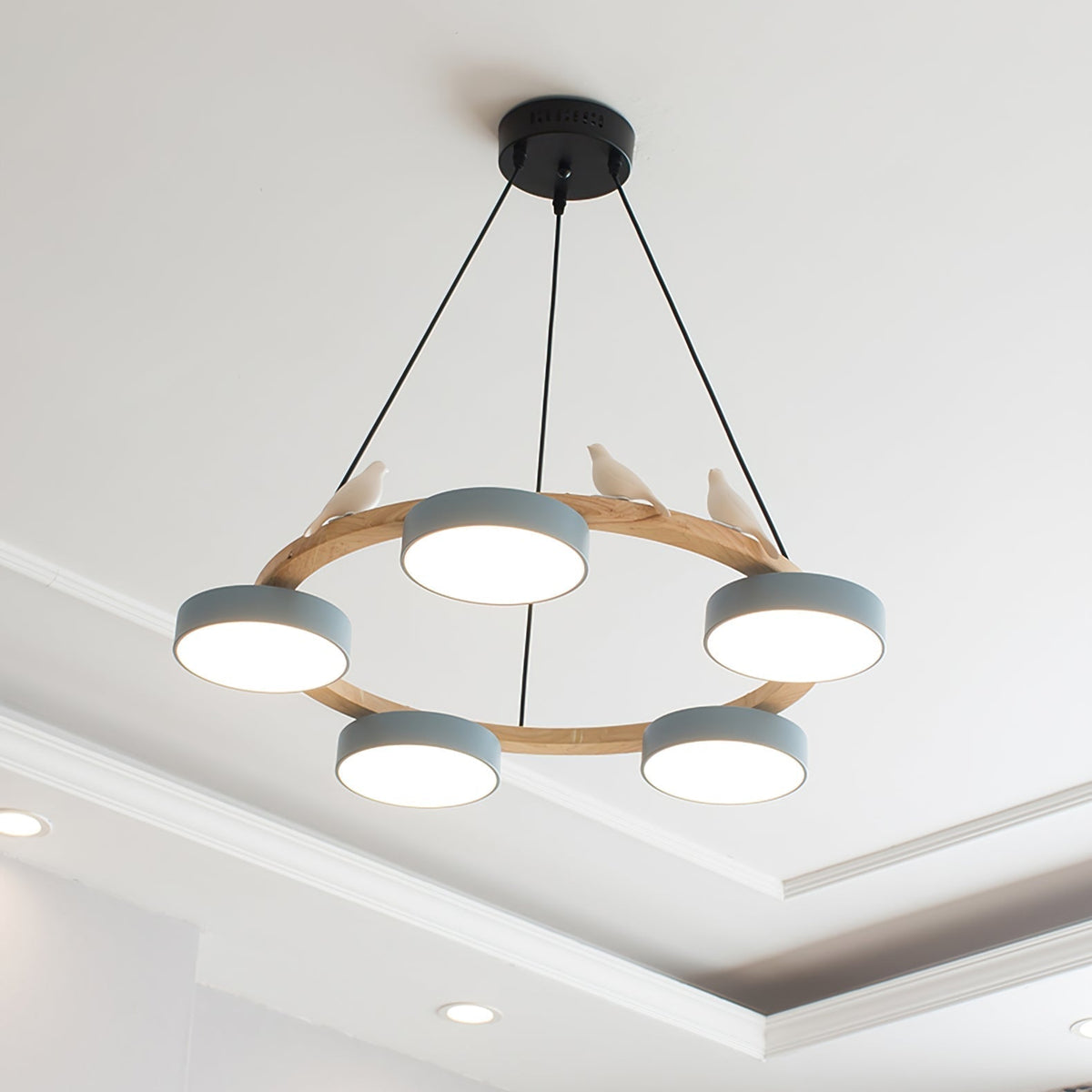 Cliff Chandelier Bird Round | ventumra
