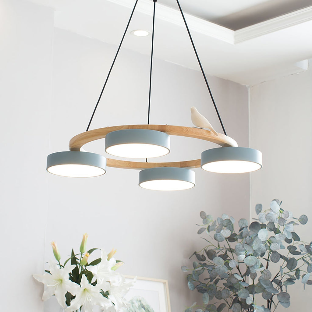 Cliff Chandelier Bird Round | ventumra
