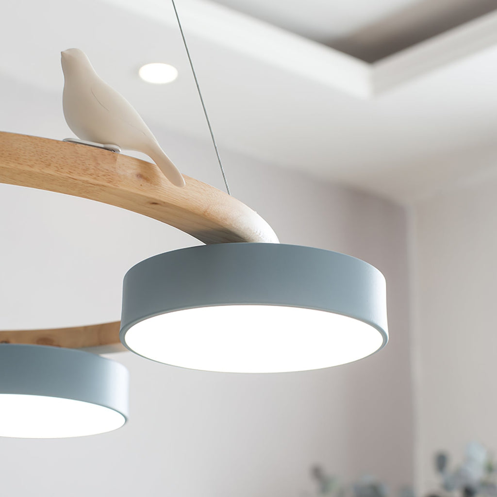 Cliff Chandelier Bird Round | ventumra