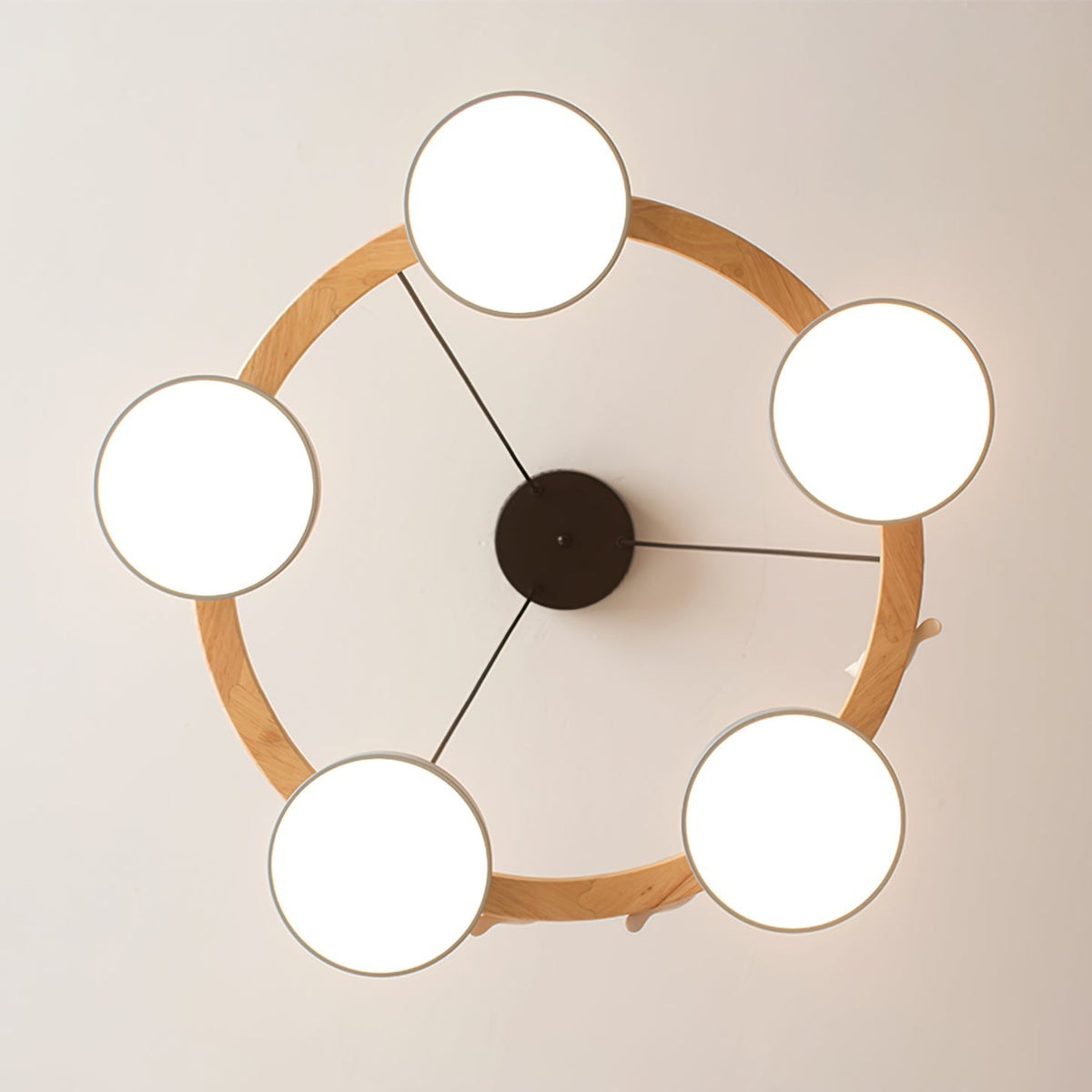 Cliff Chandelier Bird Round | ventumra