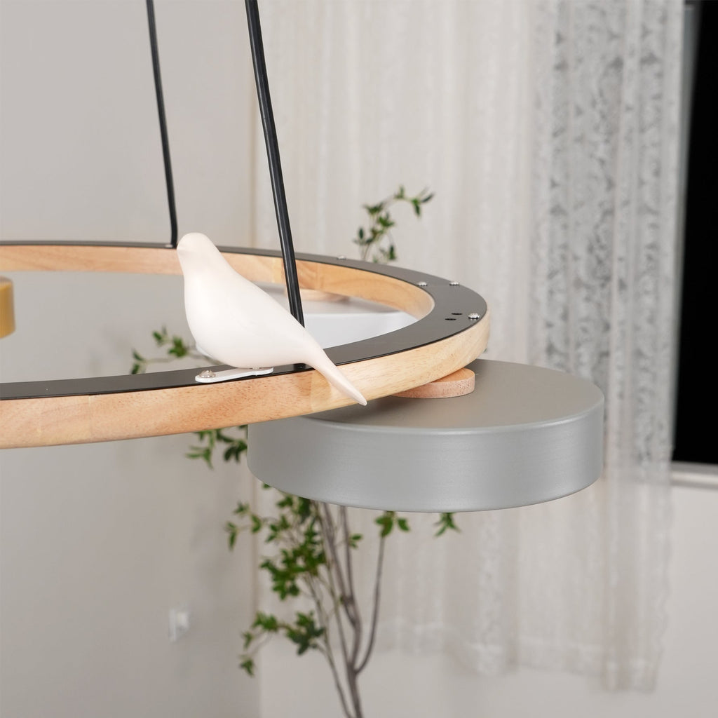 Cliff Chandelier Bird Round | ventumra