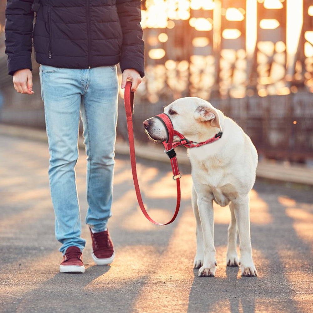 SnoutPro Comfort Dog Muzzle — Gentle Barking and Biting Control