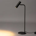 Aurelan Satin Brass Table Lamp With Adjustable Head