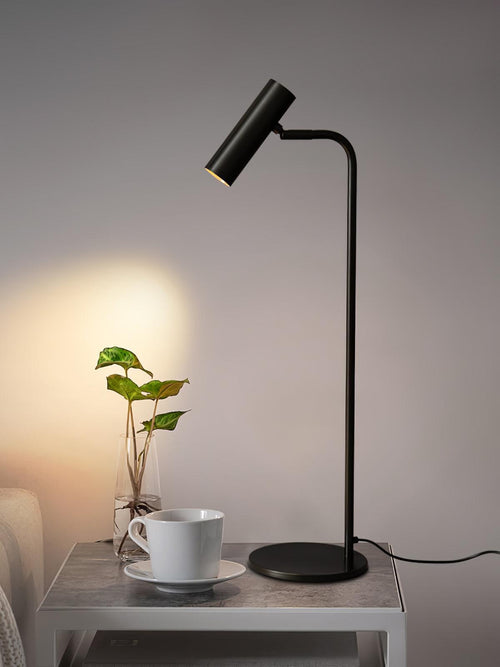 Aurelan Satin Brass Table Lamp With Adjustable Head