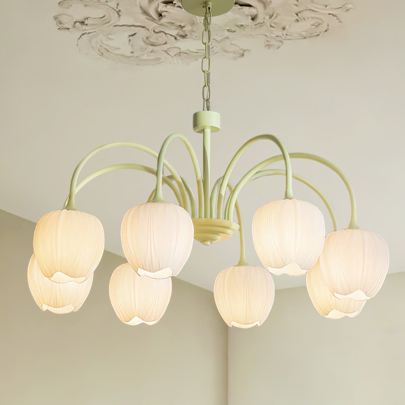 Tulip Fresh Chandeliers Glass | ventumra