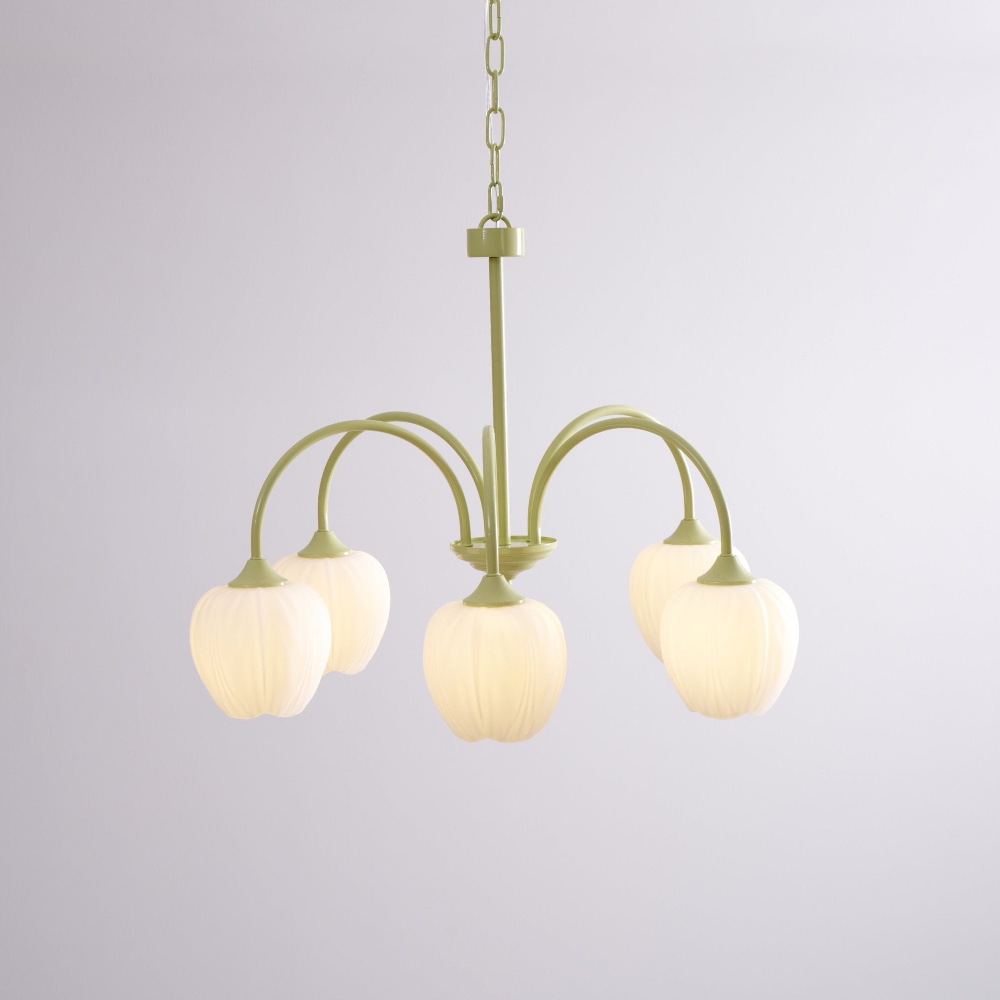 Tulip Fresh Chandeliers Glass | ventumra