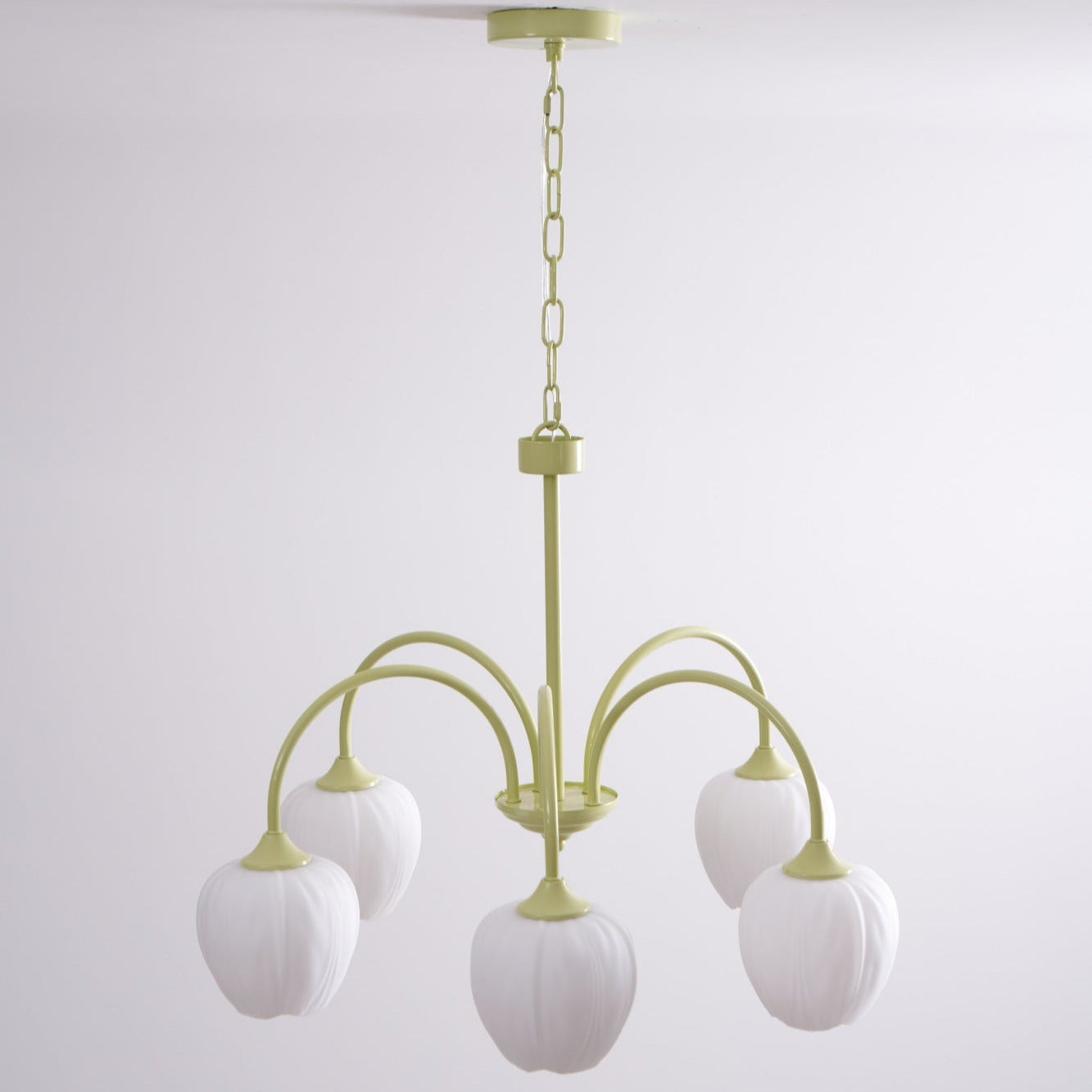 Tulip Fresh Chandeliers Glass | ventumra