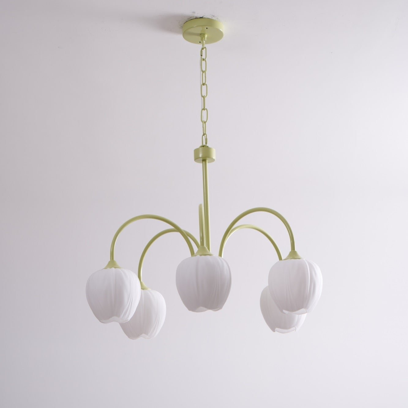 Tulip Fresh Chandeliers Glass | ventumra