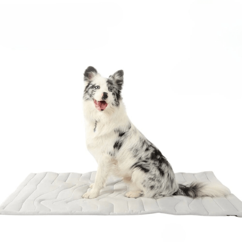 CoolPaws — samoczłodząca mata dla psa, lekka podkładka podłogowa aktywowana naciskiem