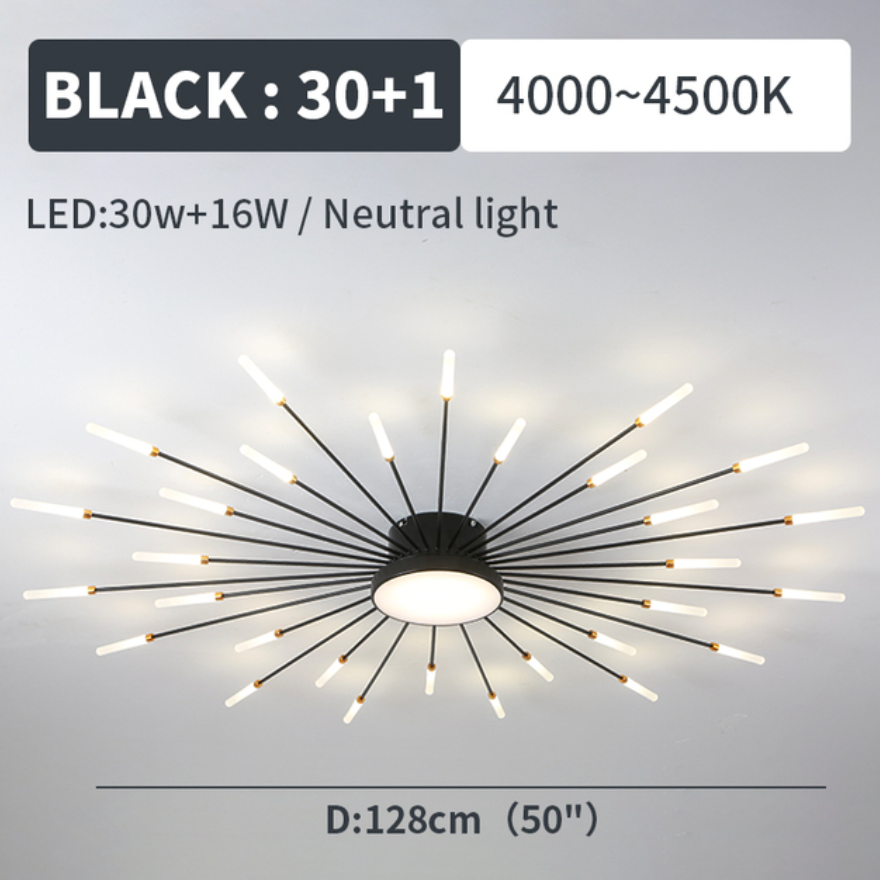 Wesley Modern Home Decoration Fireworks LED Ceiling Light | ventumra