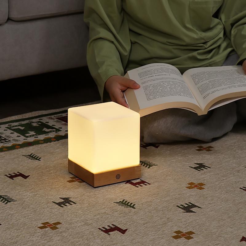 LumiNord Compact Nordic LED Desk Lamp Cordless And Portable