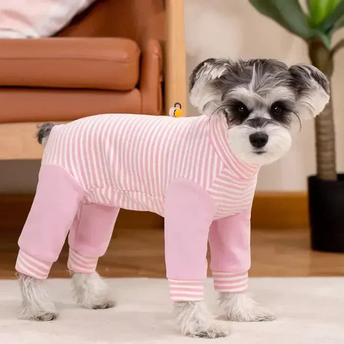 Dog Onesie for Post-Op Recovery & Skin Issues | ventumra