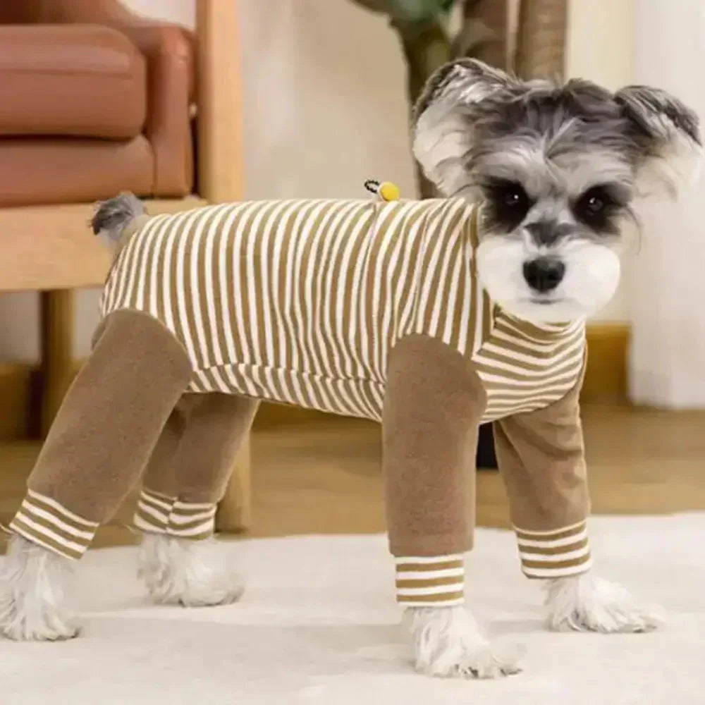 Dog Onesie for Post-Op Recovery & Skin Issues | ventumra