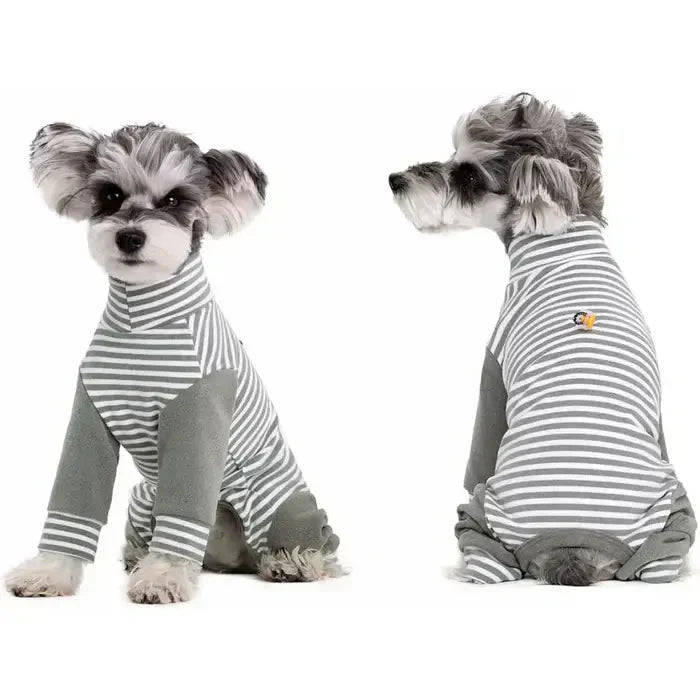 Dog Onesie for Post-Op Recovery & Skin Issues | ventumra