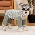 Dog Onesie for Post-Op Recovery & Skin Issues | ventumra