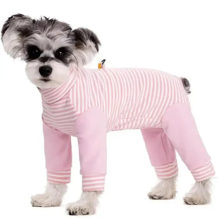 Dog Onesie for Post-Op Recovery & Skin Issues | ventumra