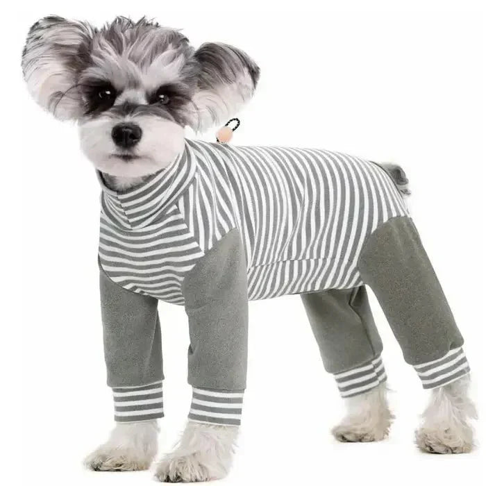 Dog Onesie for Post-Op Recovery & Skin Issues | ventumra