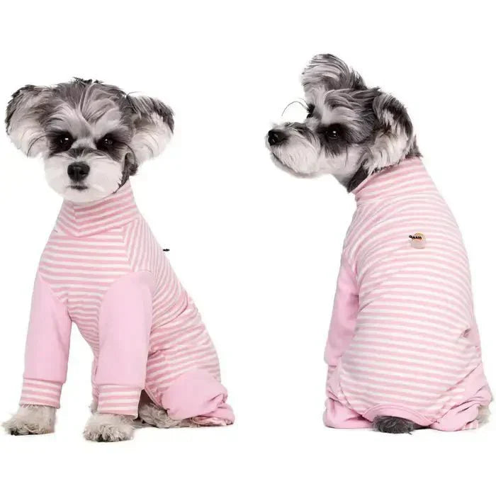 Dog Onesie for Post-Op Recovery & Skin Issues | ventumra