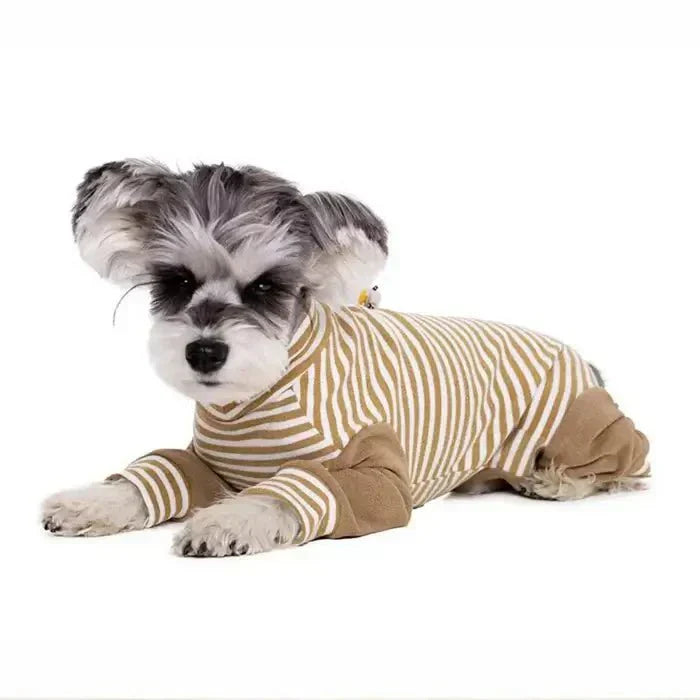 Dog Onesie for Post-Op Recovery & Skin Issues | ventumra