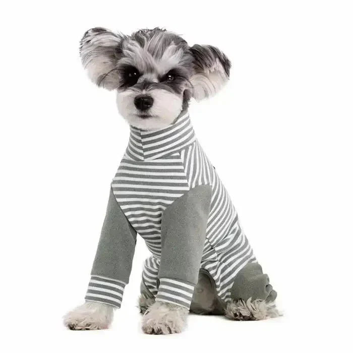 Dog Onesie for Post-Op Recovery & Skin Issues | ventumra