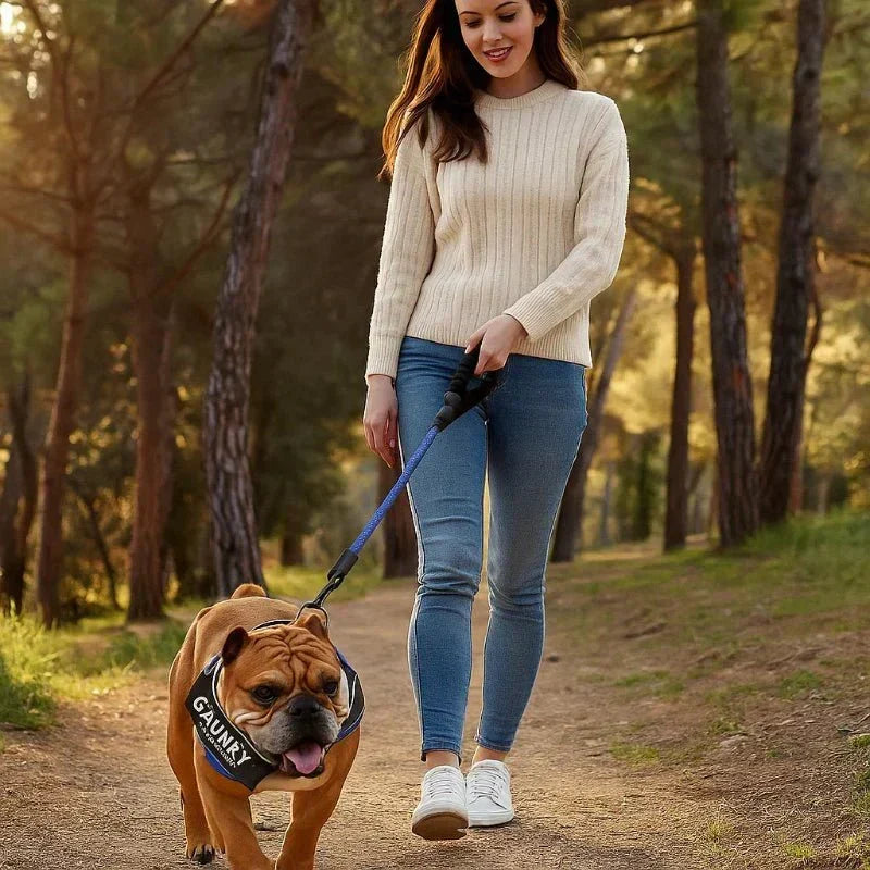 Personalizowana uprząż dla psa SafePaw — regulowany ergonomiczny krój, paski kontrolujące ciągnięcie