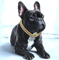 BlingPaws • Dog Gold Chain Collar | ventumra