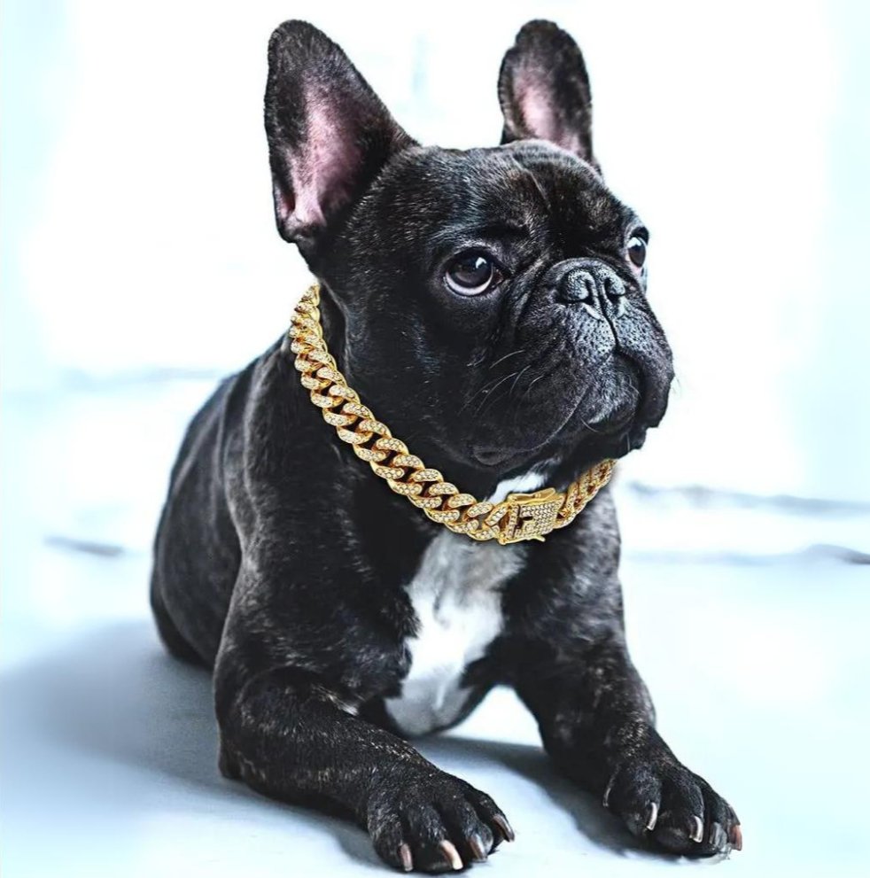 BlingPaws • Dog Gold Chain Collar | ventumra