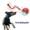 ChewRoll Interactive Pet Roller Toy | ventumra