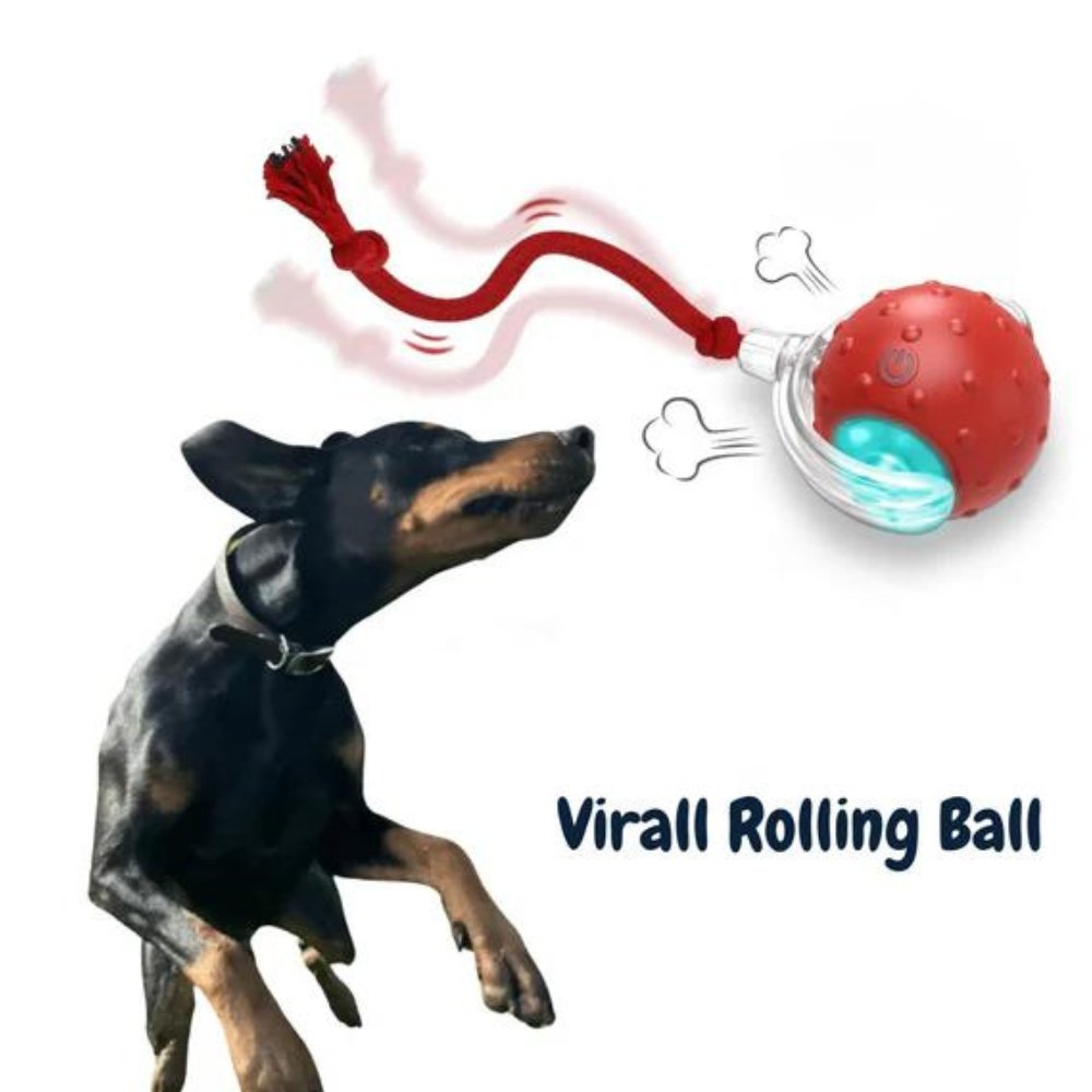 ChewRoll Interactive Pet Roller Toy | ventumra