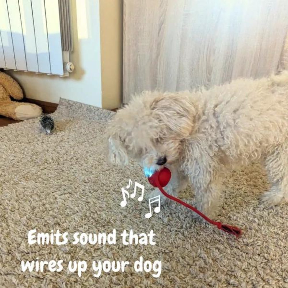 ChewRoll Interactive Pet Roller Toy | ventumra