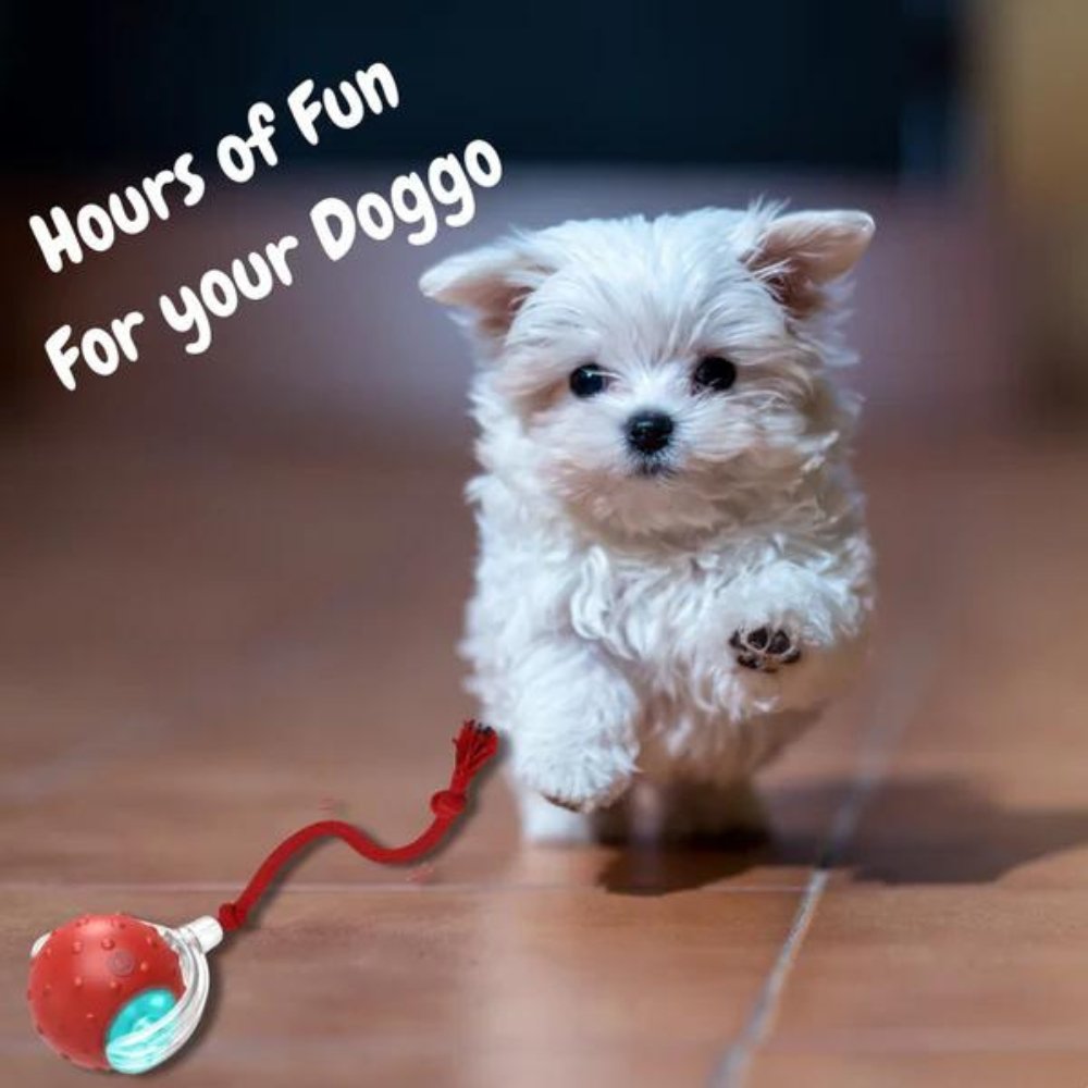 ChewRoll Interactive Pet Roller Toy | ventumra
