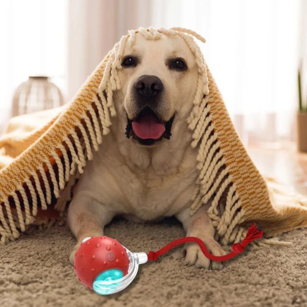 ChewRoll Interactive Pet Roller Toy | ventumra