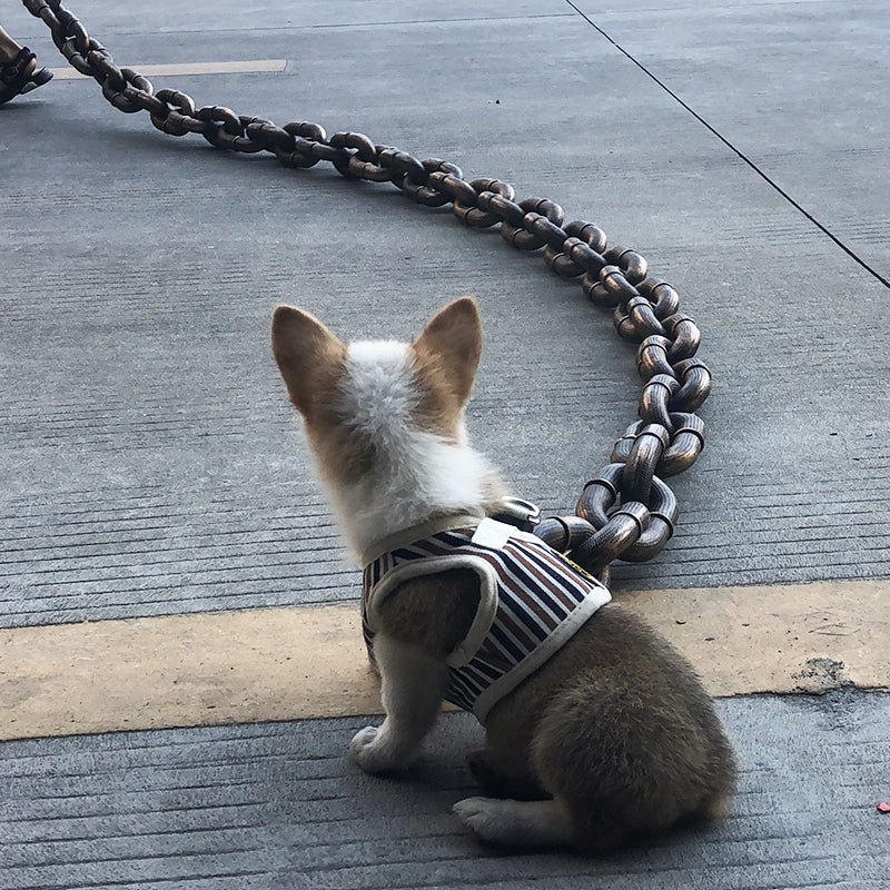 Cool and Funny Dog Leash - PawChic | ventumra