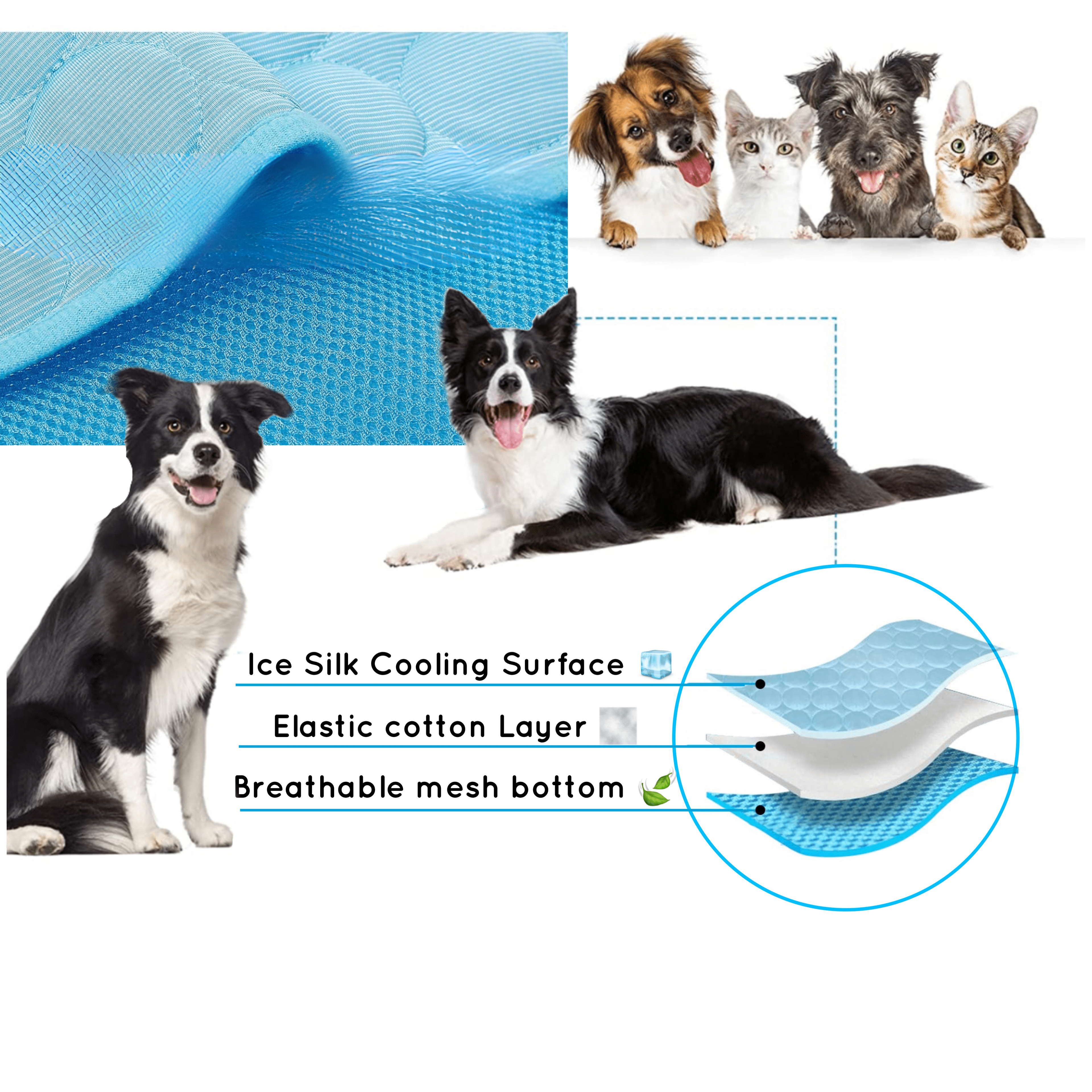 Cooling Dog Mat - CoolPet Mat | ventumra