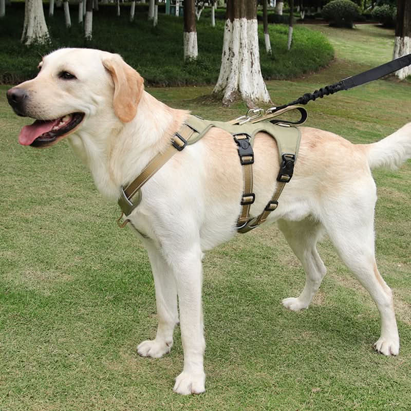 SwiftGuard Nylon Dog Harness — Reflective Trim, Front Clip, Escape-Proof Design