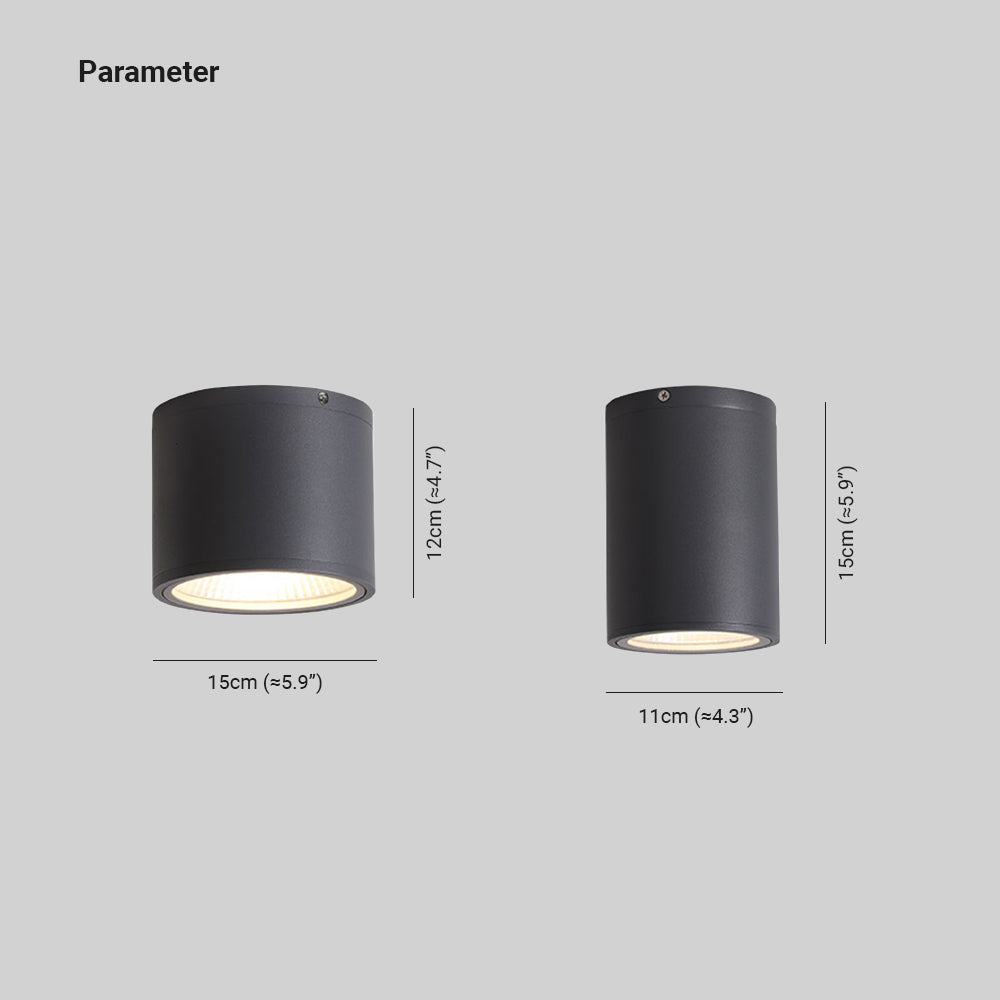 Ray Modern Black Cylindrical Flush Mount Ceiling Light Spotlight | ventumra