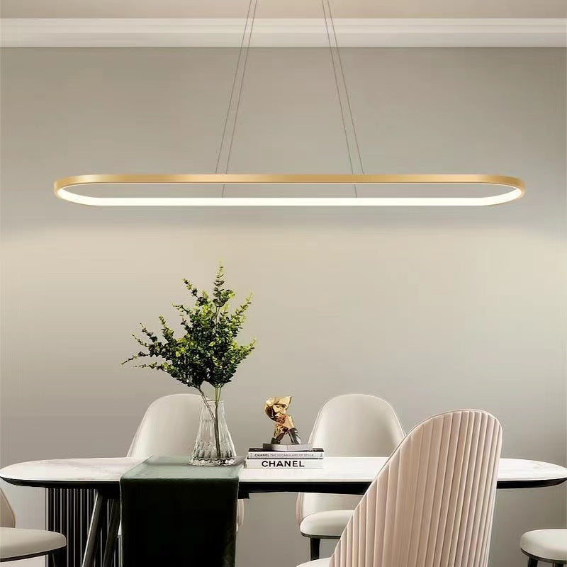 Junel Minimalist Oval Interior Hanging Pendant Light | ventumra