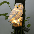 SolaraGarden Solar Lamp With Auto Night Sensor Garden Paths