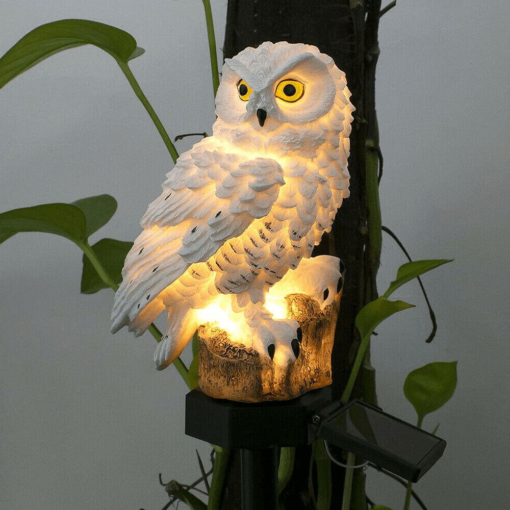 SolaraGarden Solar Lamp With Auto Night Sensor Garden Paths