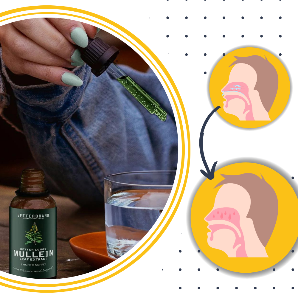 Gluten-Free Mullein for Lung Health | ventumra