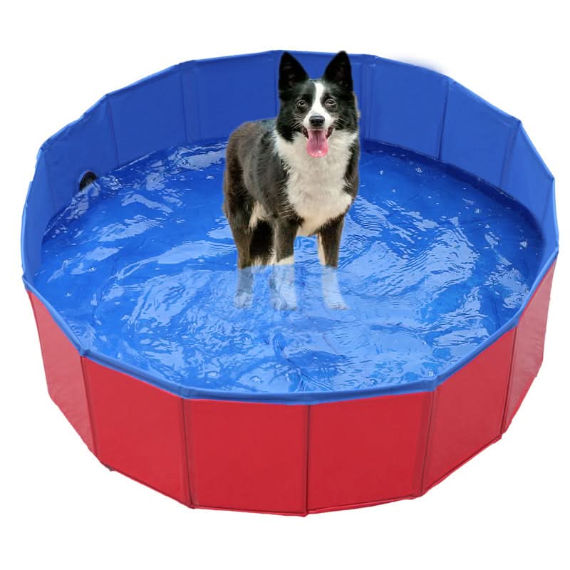 Piscină pliabilă din PVC pentru câini ChillPaws — Bazin pliabil, instalare rapidă