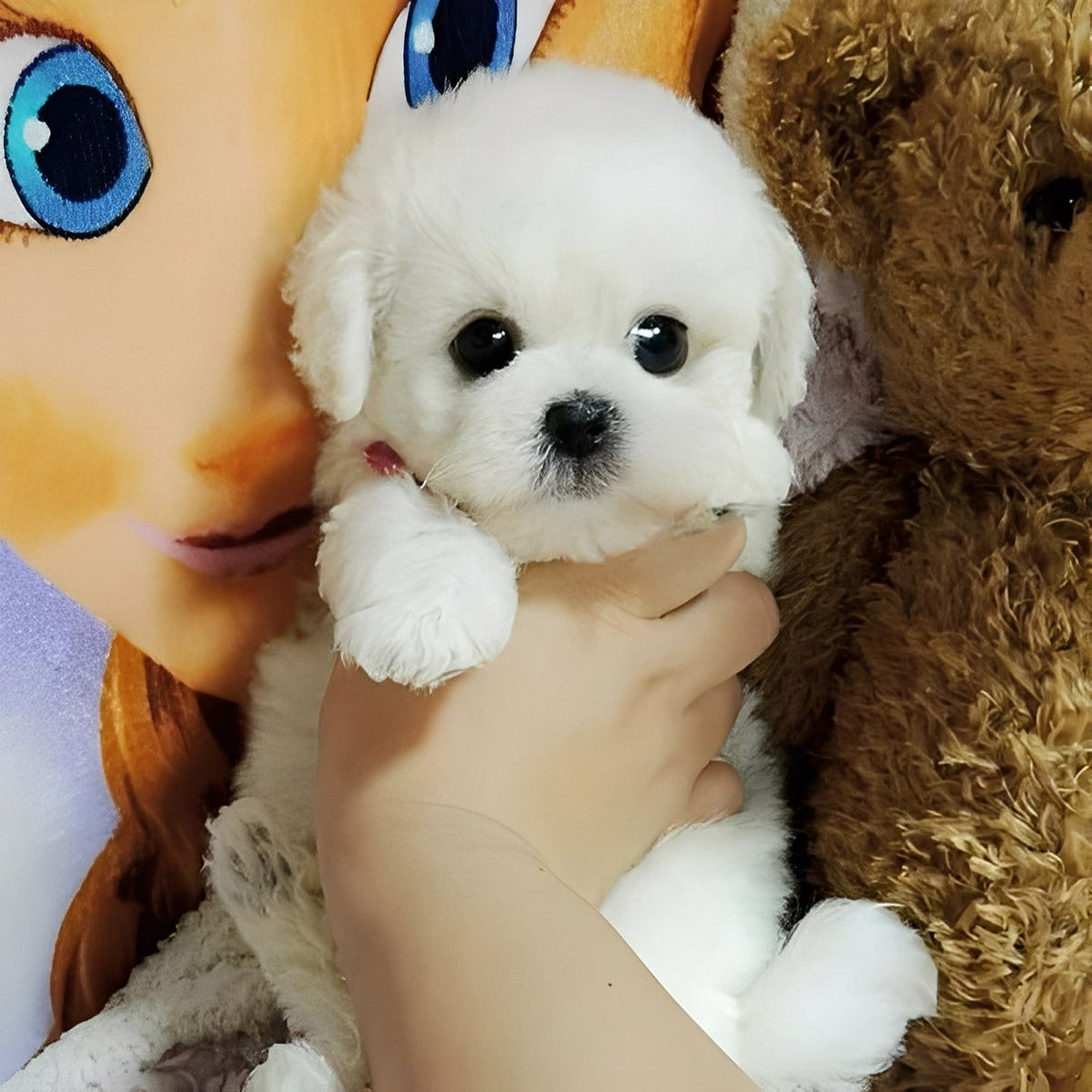 Cuddly Plush Dog Friend — Airbrushed Details & Sculpted Eyes
